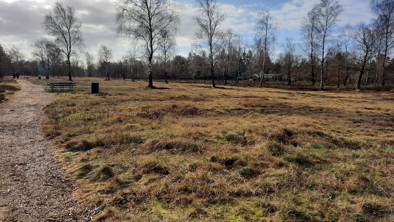 Photo of Others in Hojslev