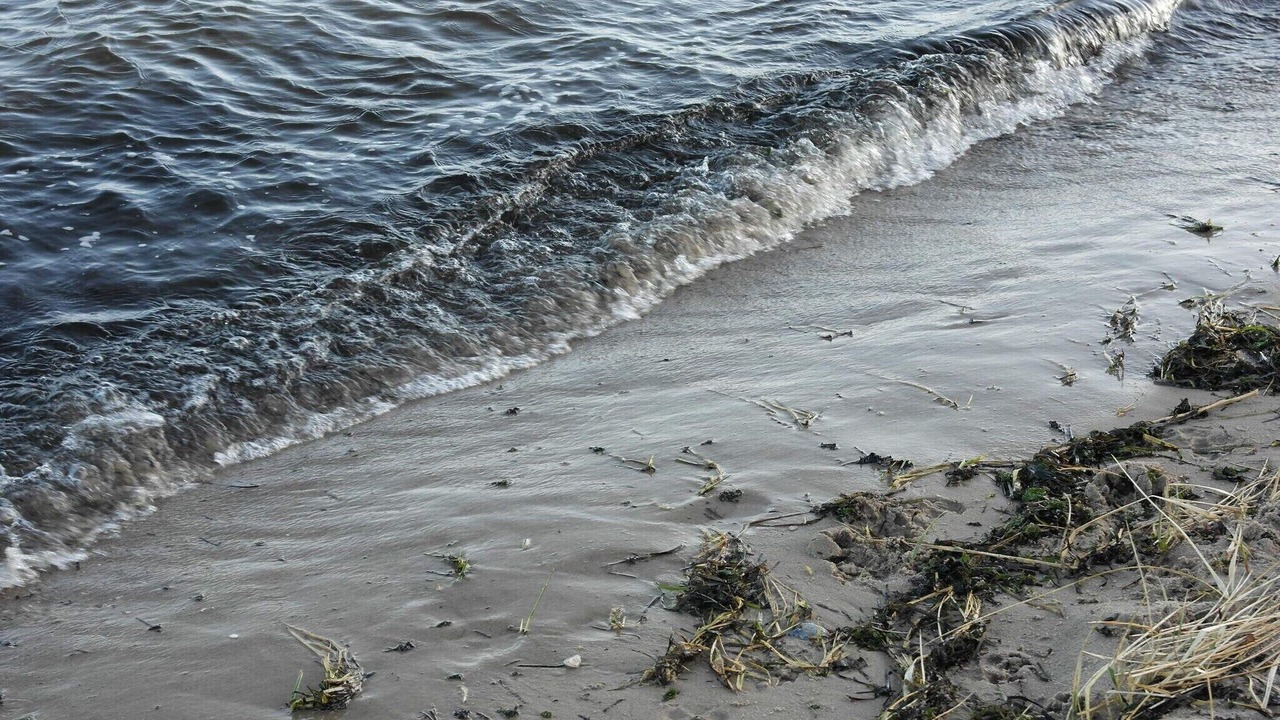 Photo of Others in Hojslev