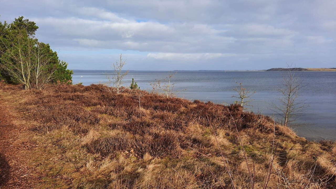 Photo of Others in Hojslev