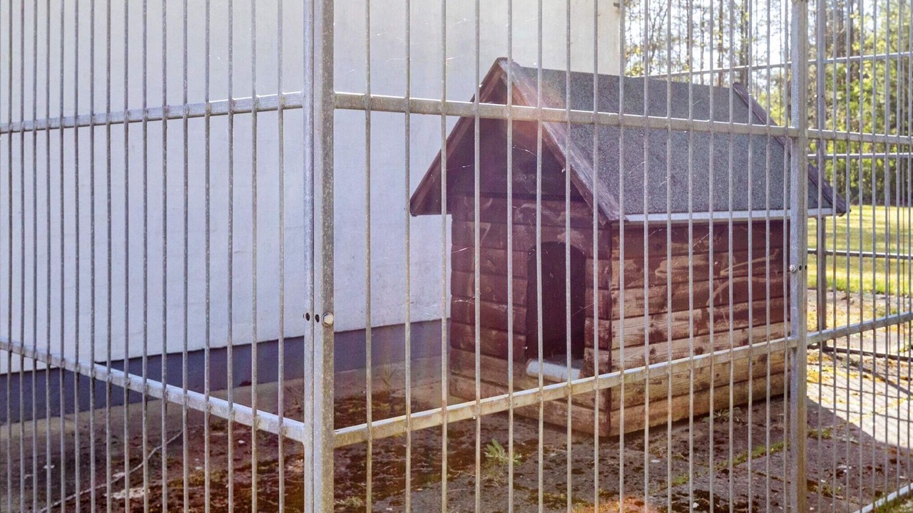 Photo of Outdoor in Hojslev