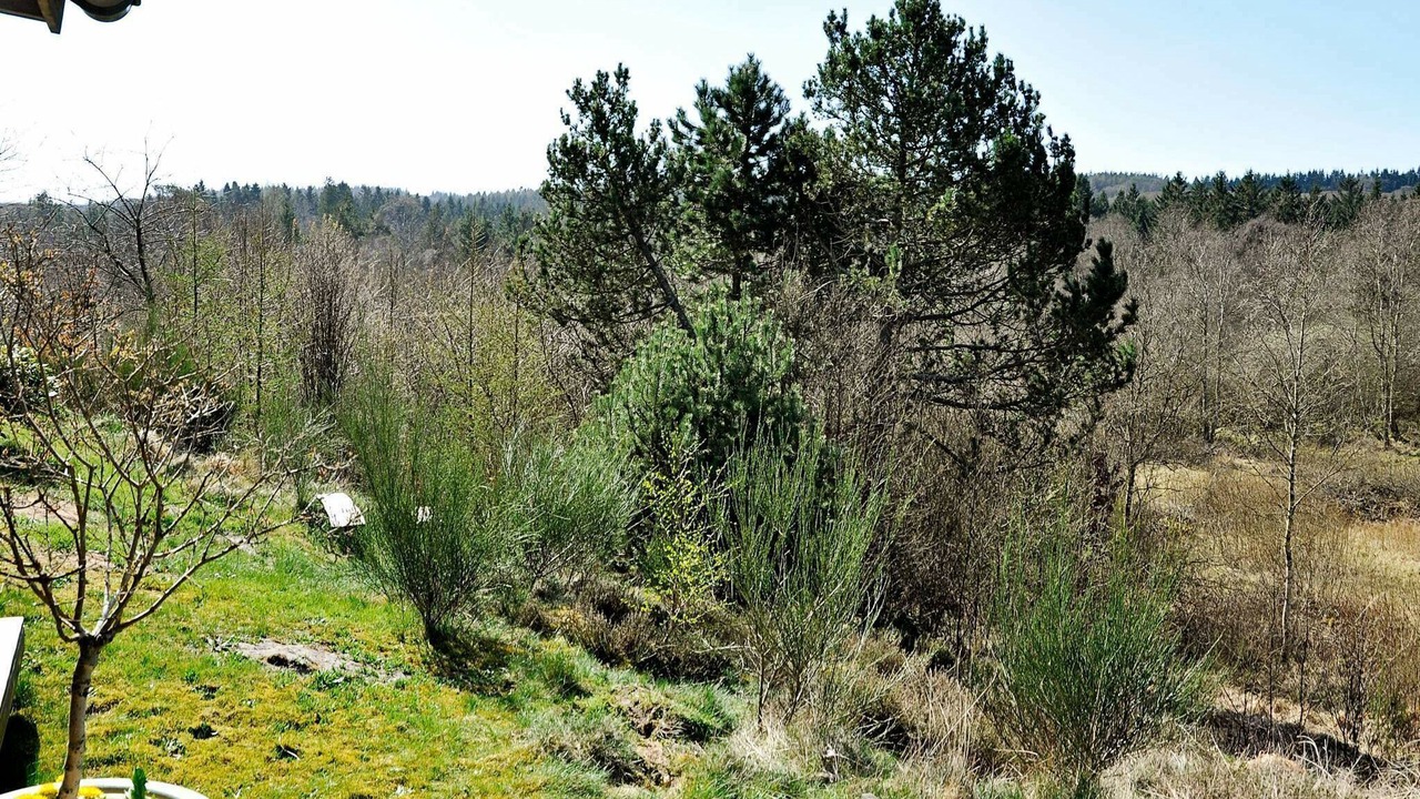 Photo of Others in Silkeborg