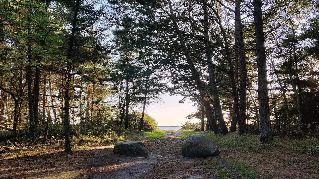 Photo of Outdoor in Sjaelborg