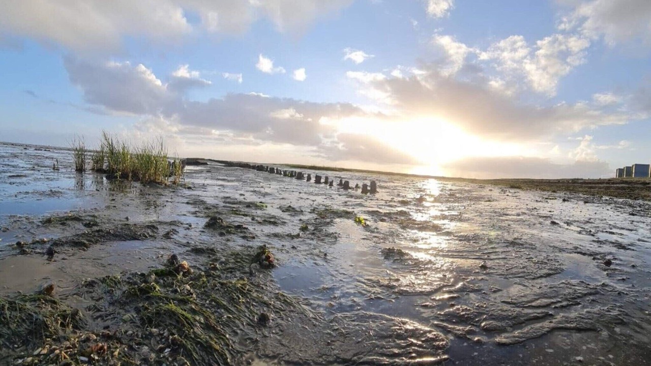 Photo of Others in Sønderstrand