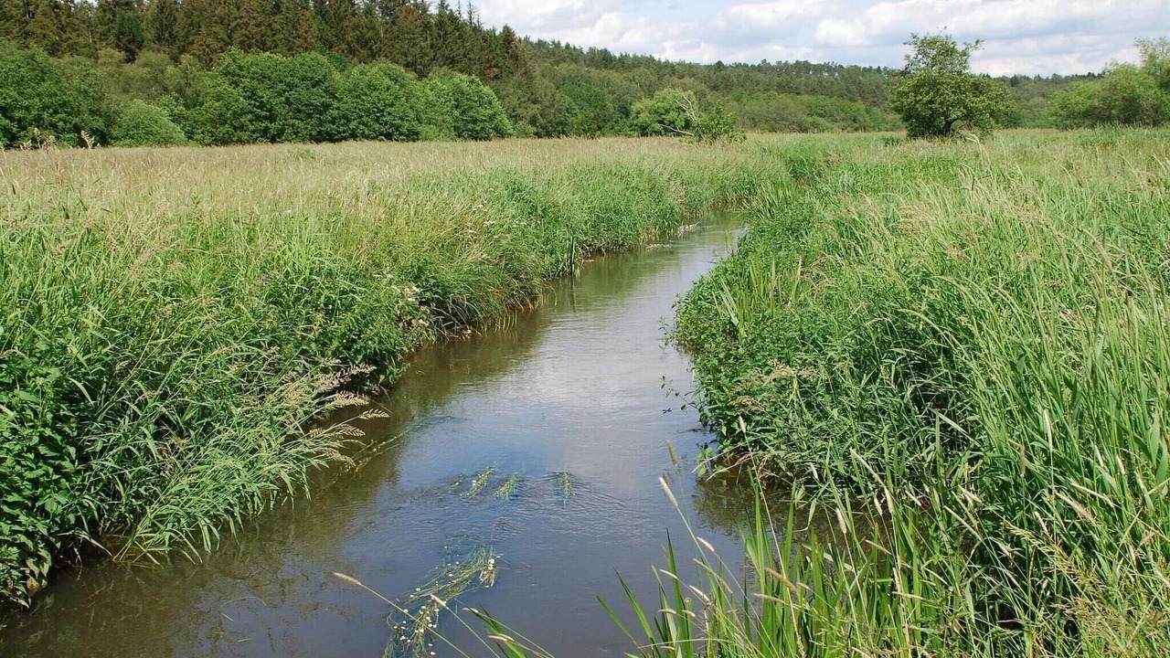 Photo of Others in Gjern
