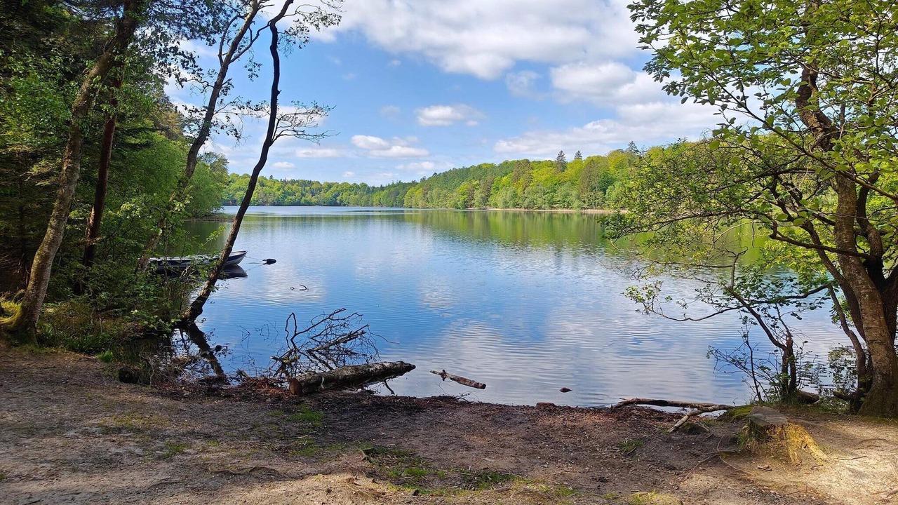 Photo of Others in Gjern