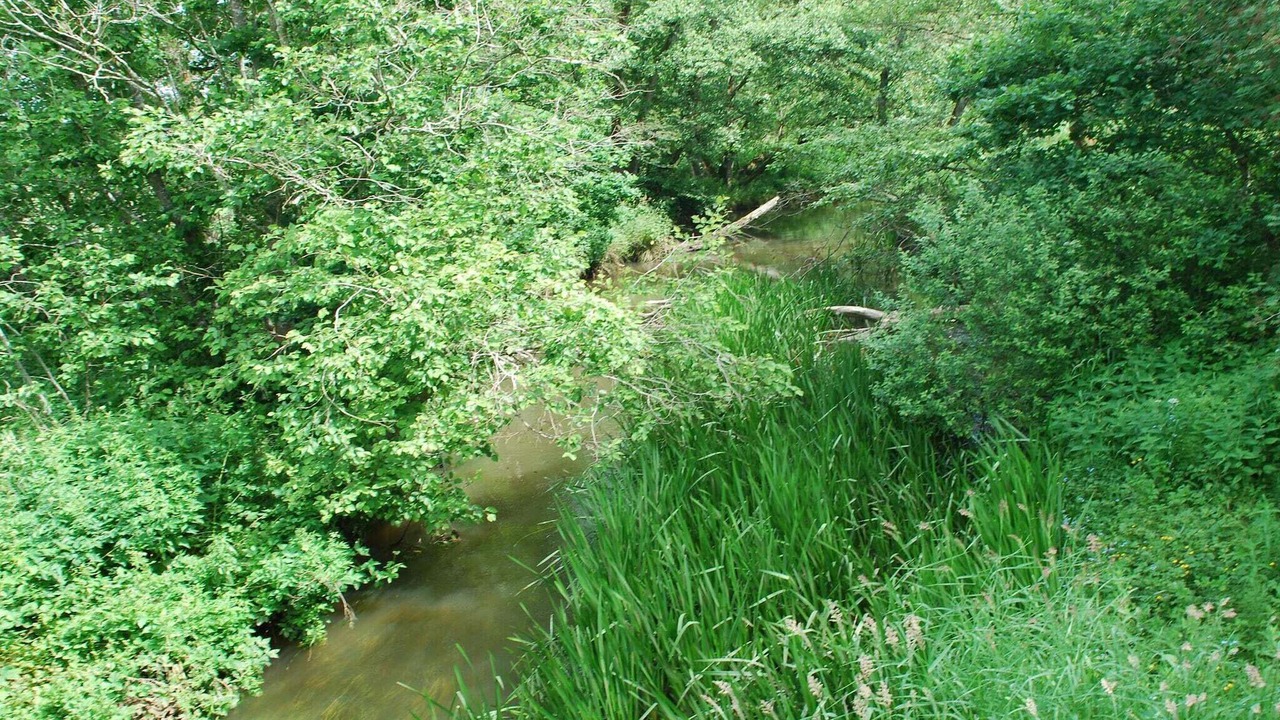 Photo of Others in Gjern