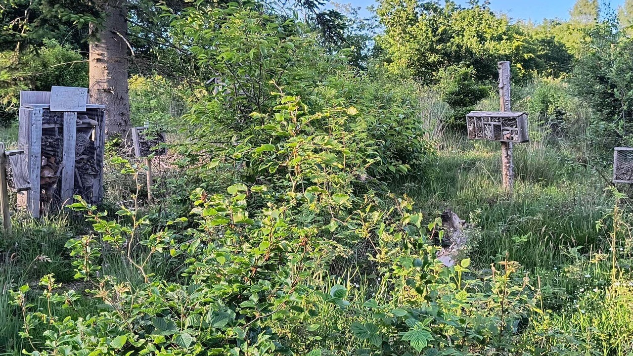Photo of Others in Gjern