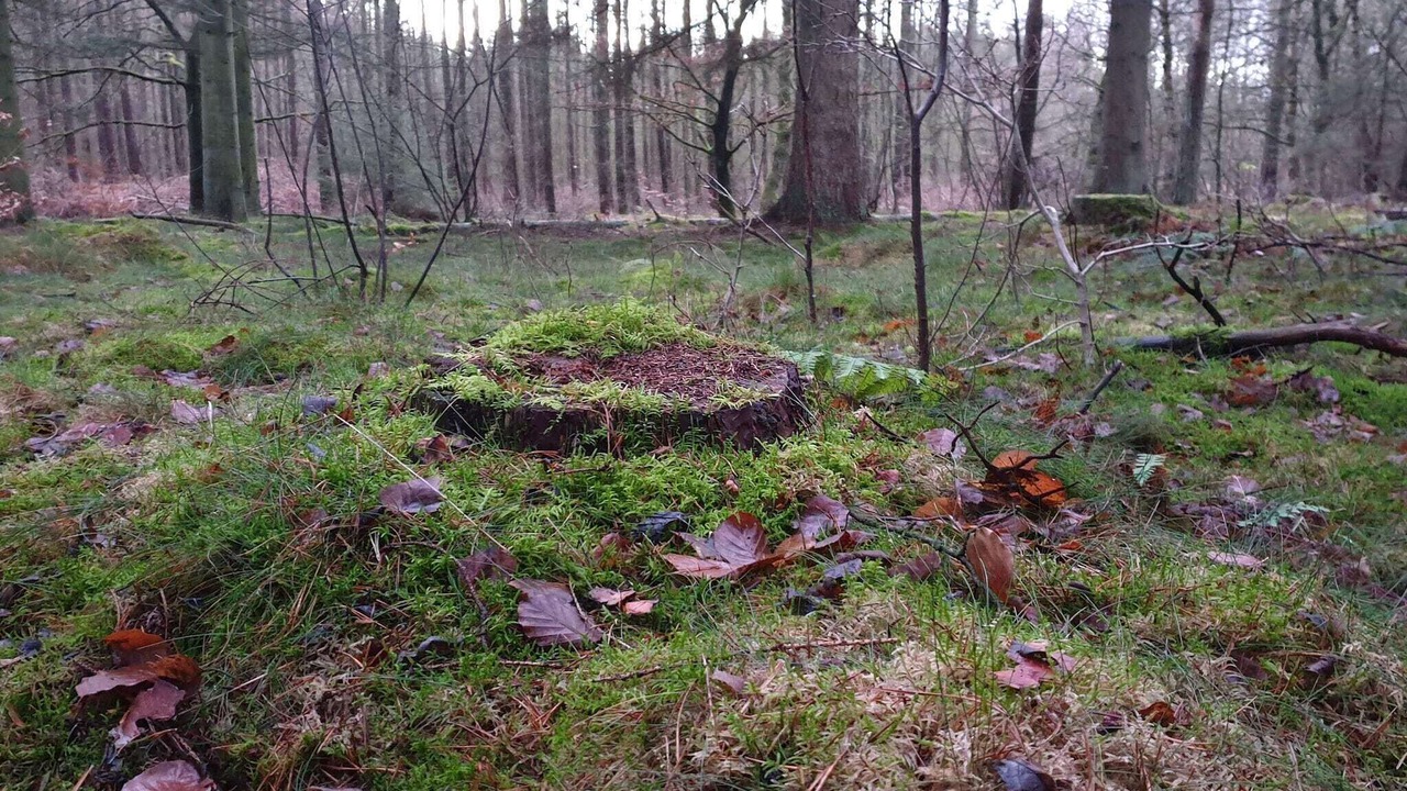 Photo of Others in Gjern