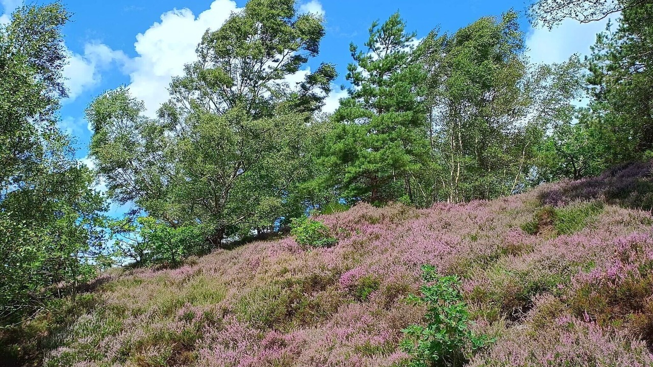 Photo of Others in Gjern
