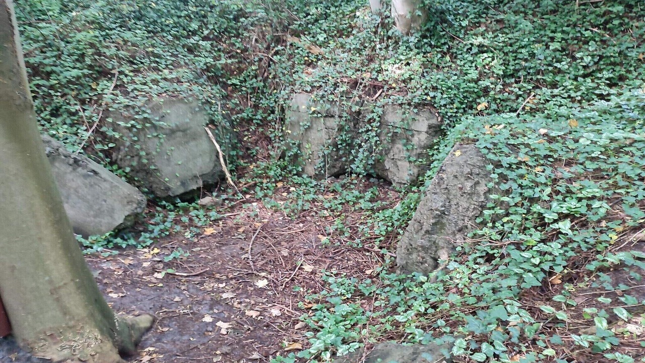 Photo of Outdoor in Arrild Ferieby