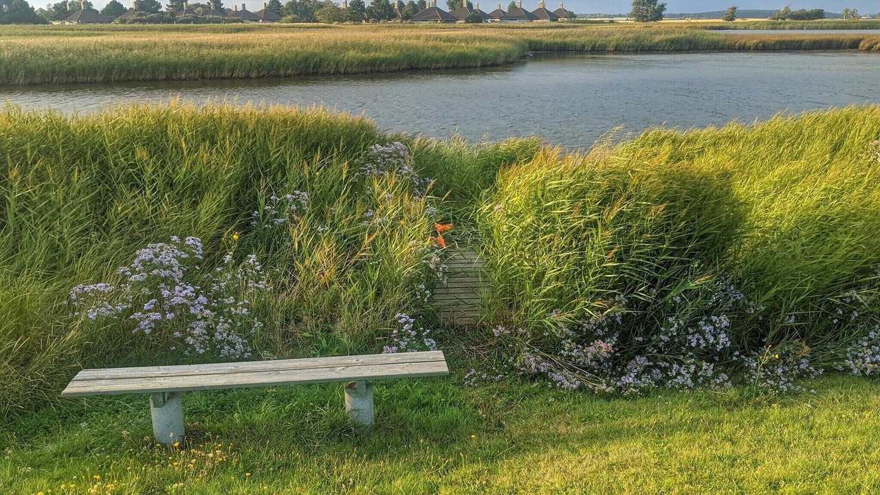 Photo of Others in Karrebksminde