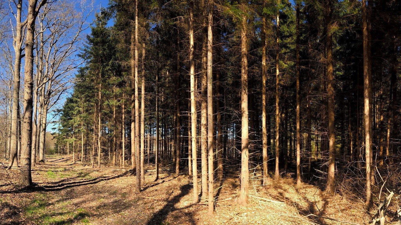 Photo of Others in Karrebksminde