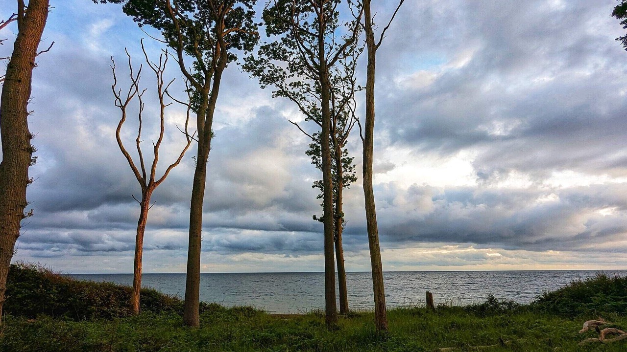 Photo of Others in Karrebksminde