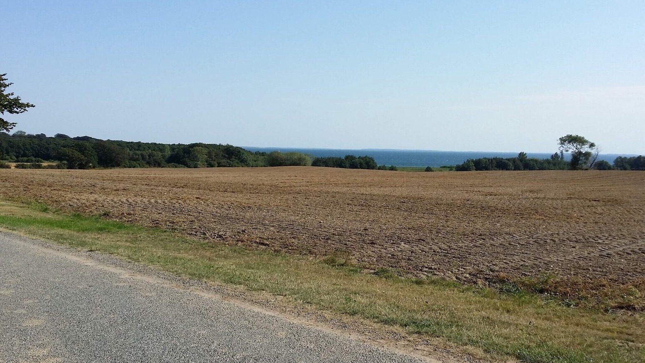 Photo of Others in Karrebksminde