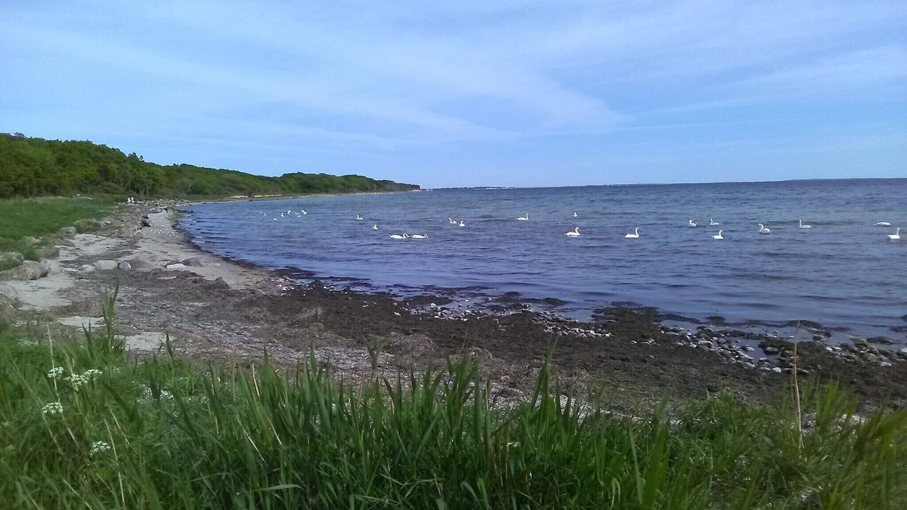 Photo of Others in Karrebksminde