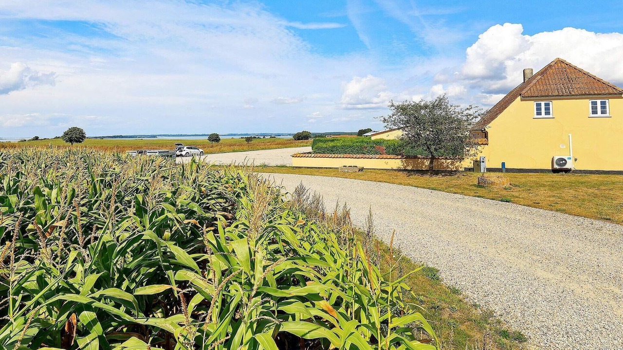 Photo of Outdoor in Faaborg