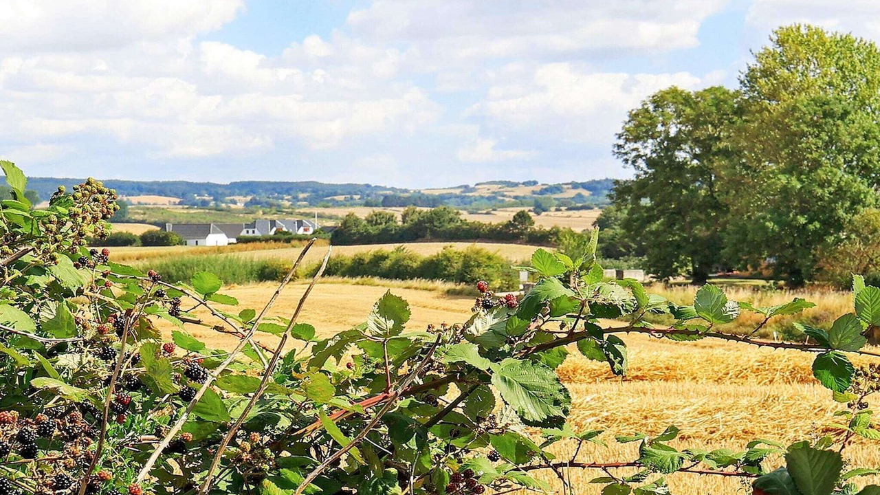 Photo of Others in Faaborg