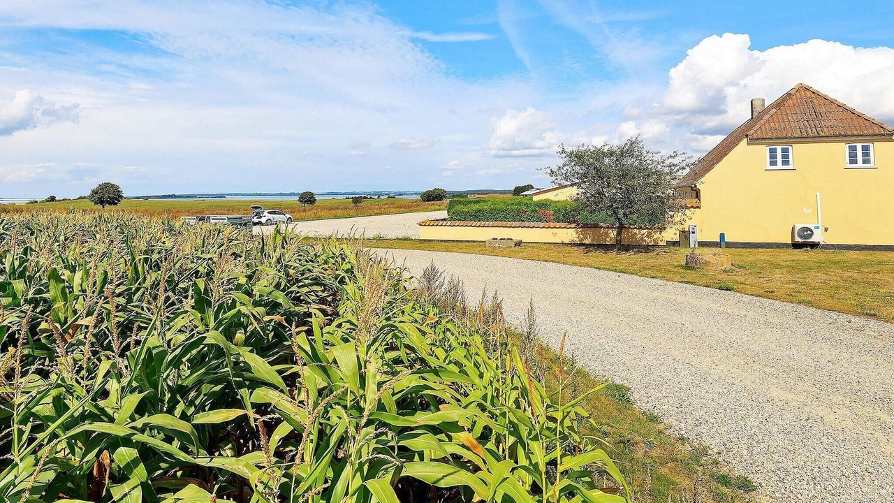 Photo of Outdoor in Faaborg