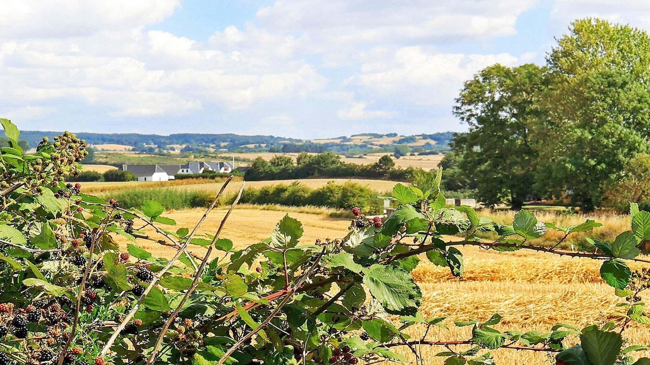 Photo of Others in Faaborg
