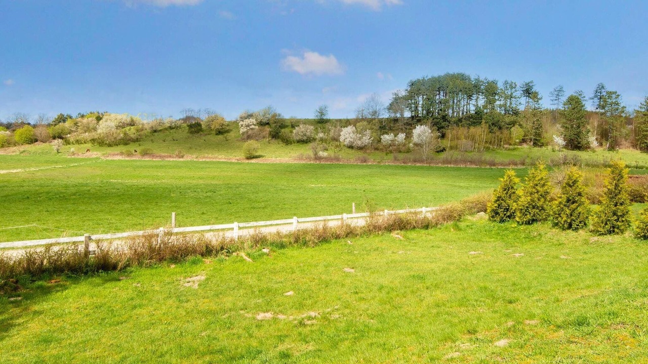 Photo of Others in Femmøller