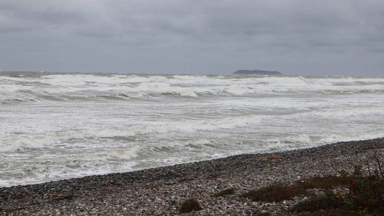 Photo of Others in Vibæk Strand
