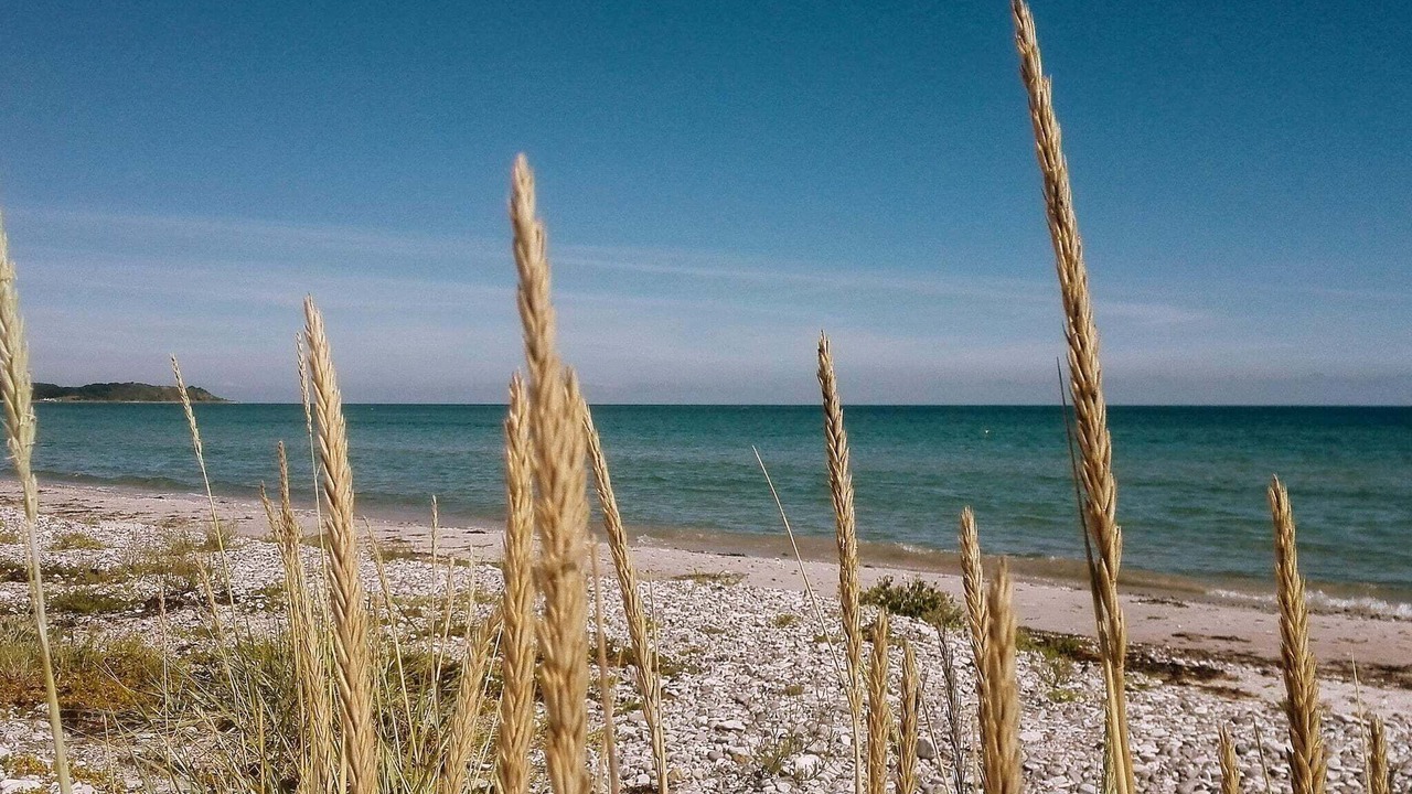 Photo of Others in Vibæk Strand
