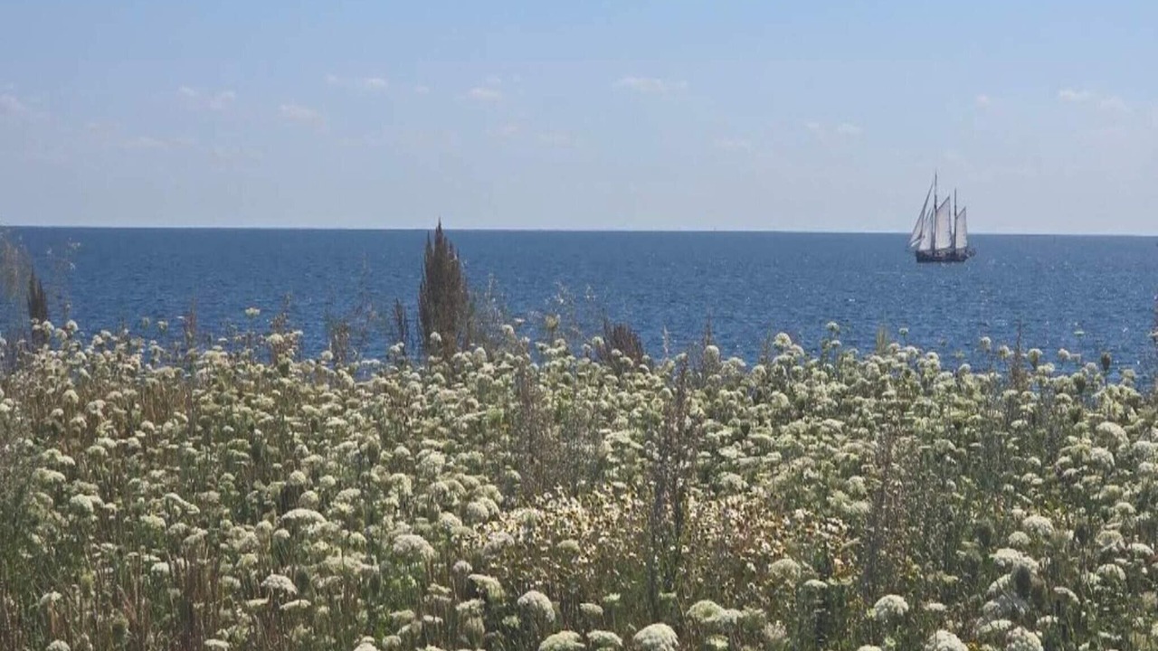Photo of Outdoor in Gedser