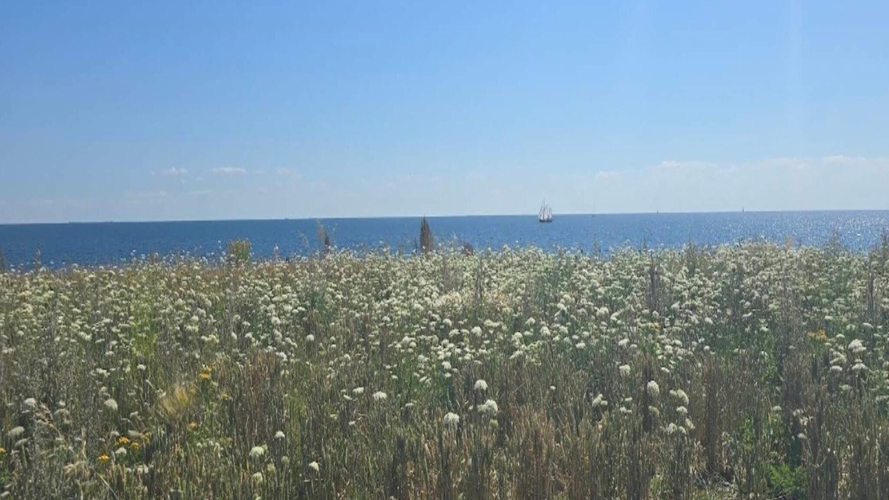 Photo of Outdoor in Gedser