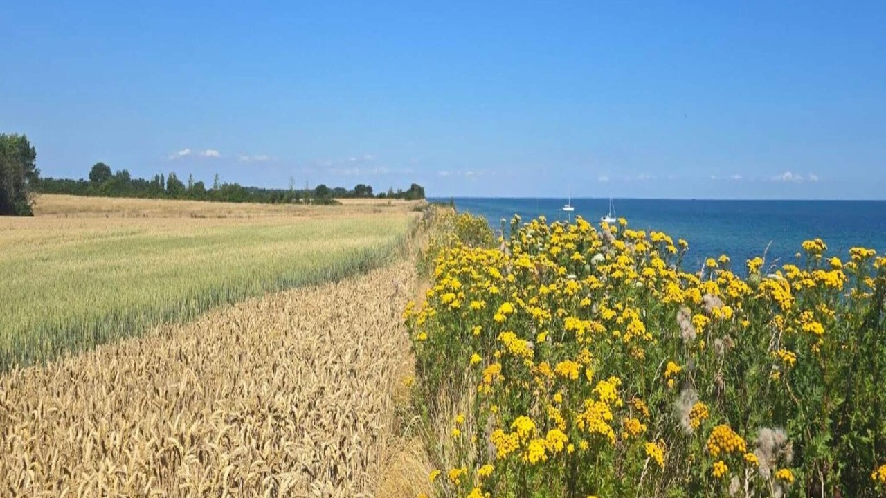 Photo of Outdoor in Gedser