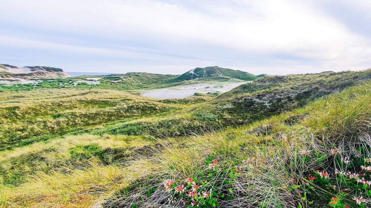 Photo of Outdoor in Sønder Nissum