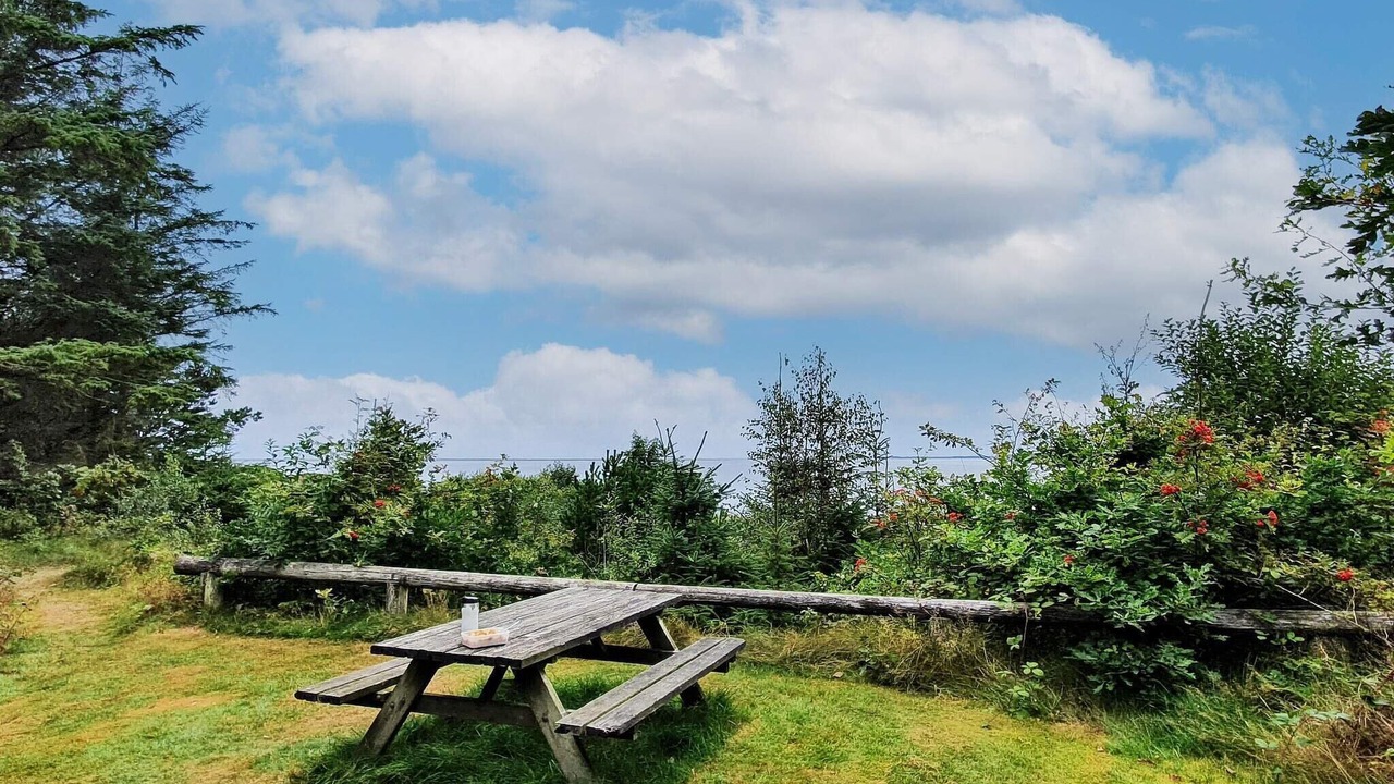 Photo of Outdoor in Sønder Nissum