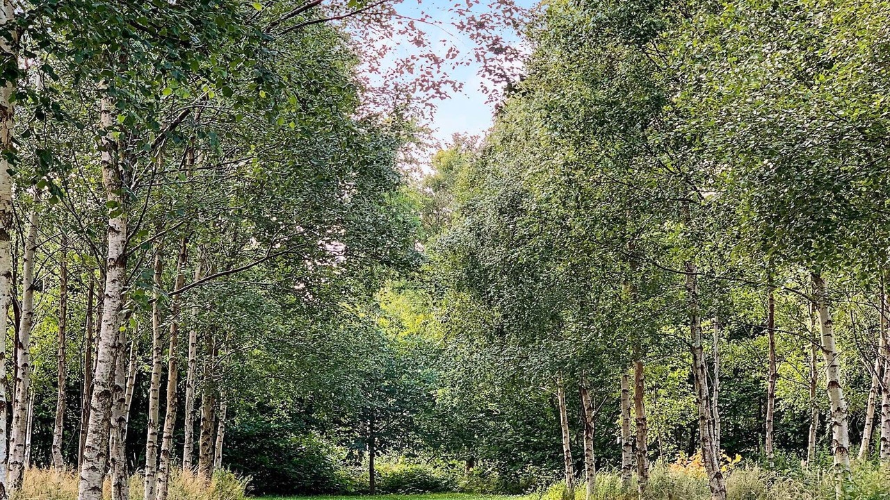 Photo of Outdoor in Aars