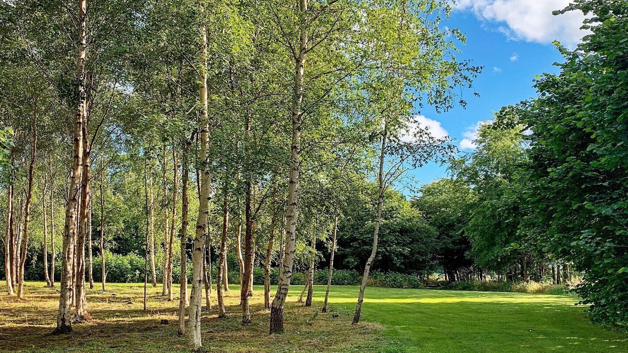 Photo of Outdoor in Aars