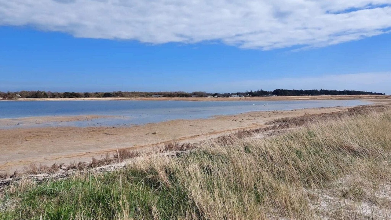 Photo of Others in Elsegarde Strand