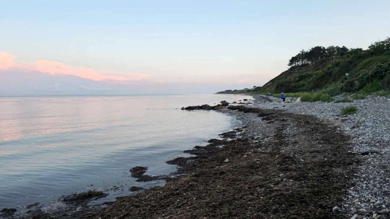 Photo of Others in Elsegarde Strand