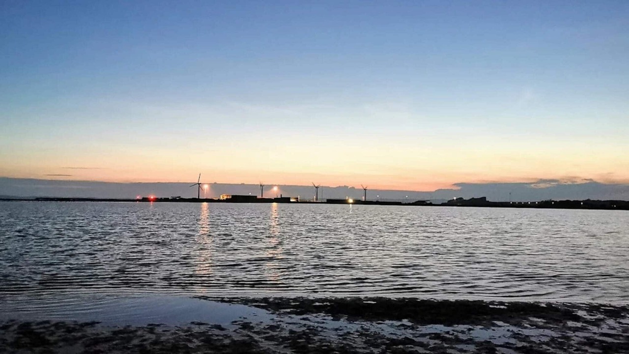 Photo of Others in Elsegarde Strand