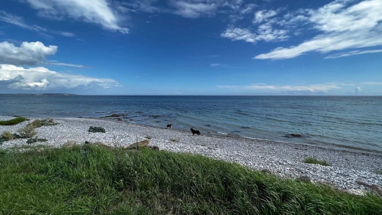 Photo of Others in Elsegarde Strand