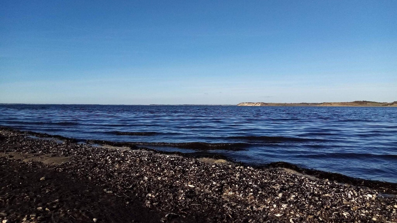 Photo of Others in Sundstrup