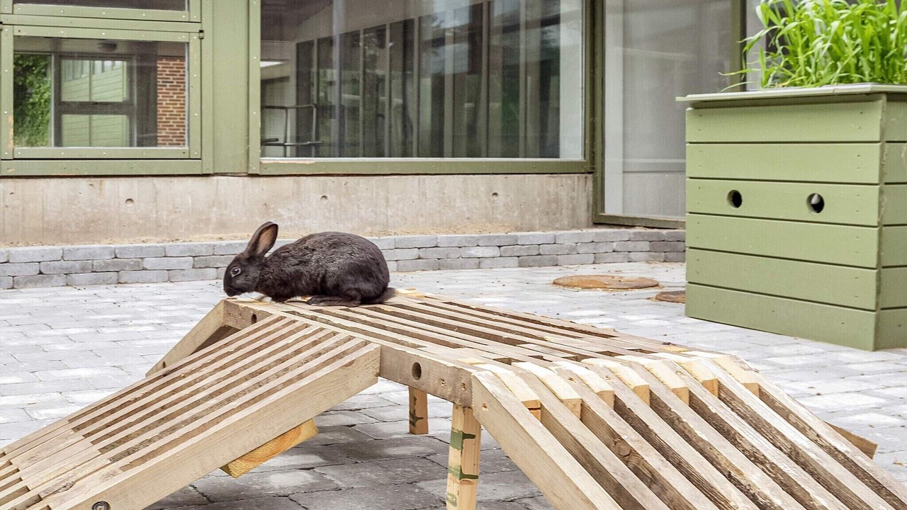 Photo of Outdoor in Hanstholm