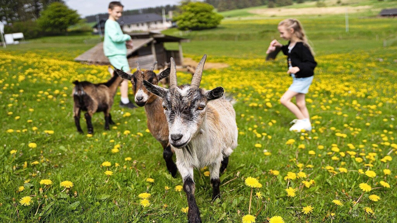 Photo of Others in Hanstholm
