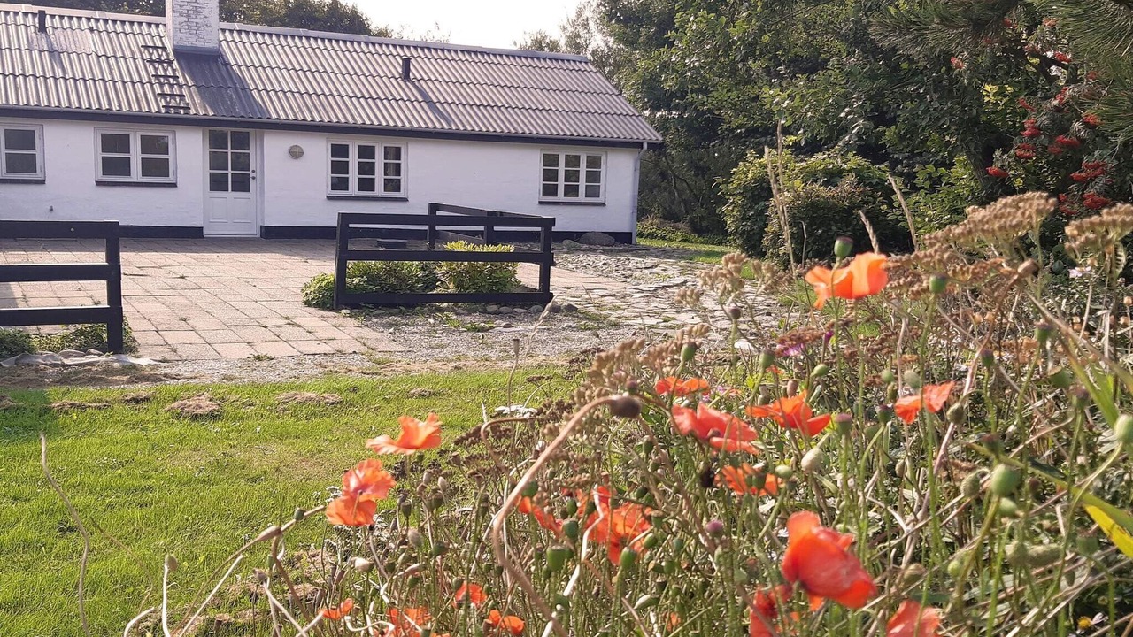 Photo of Outdoor in Lokken