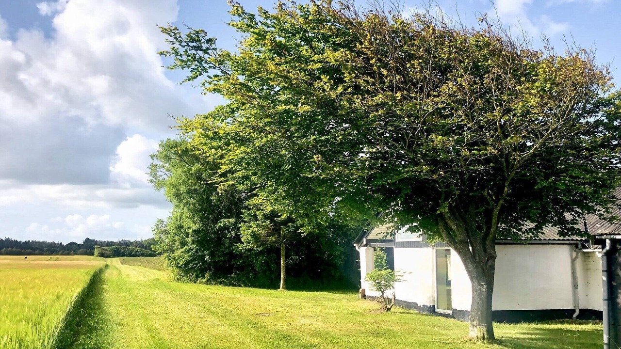 Photo of Outdoor in Lokken