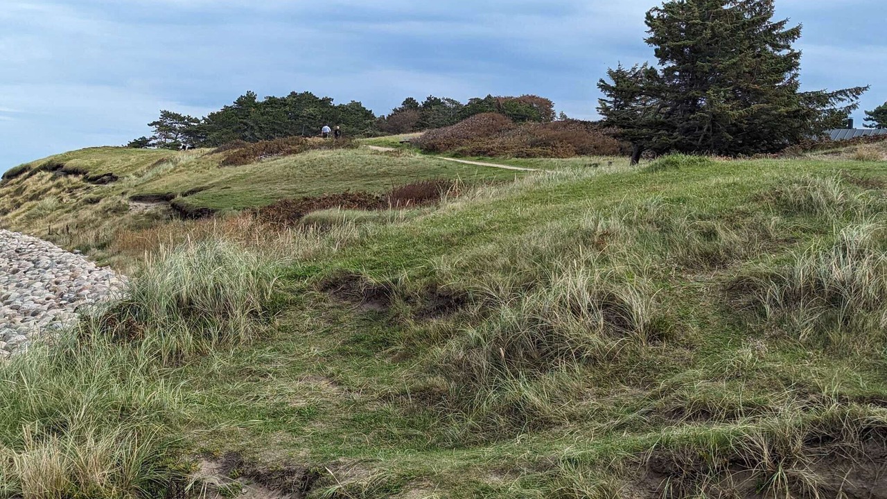 Photo of Others in Smidstrup Strand