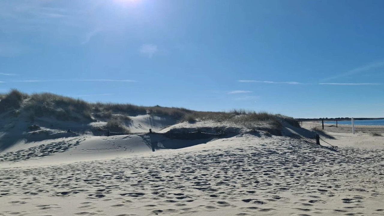 Photo of Others in Læsø