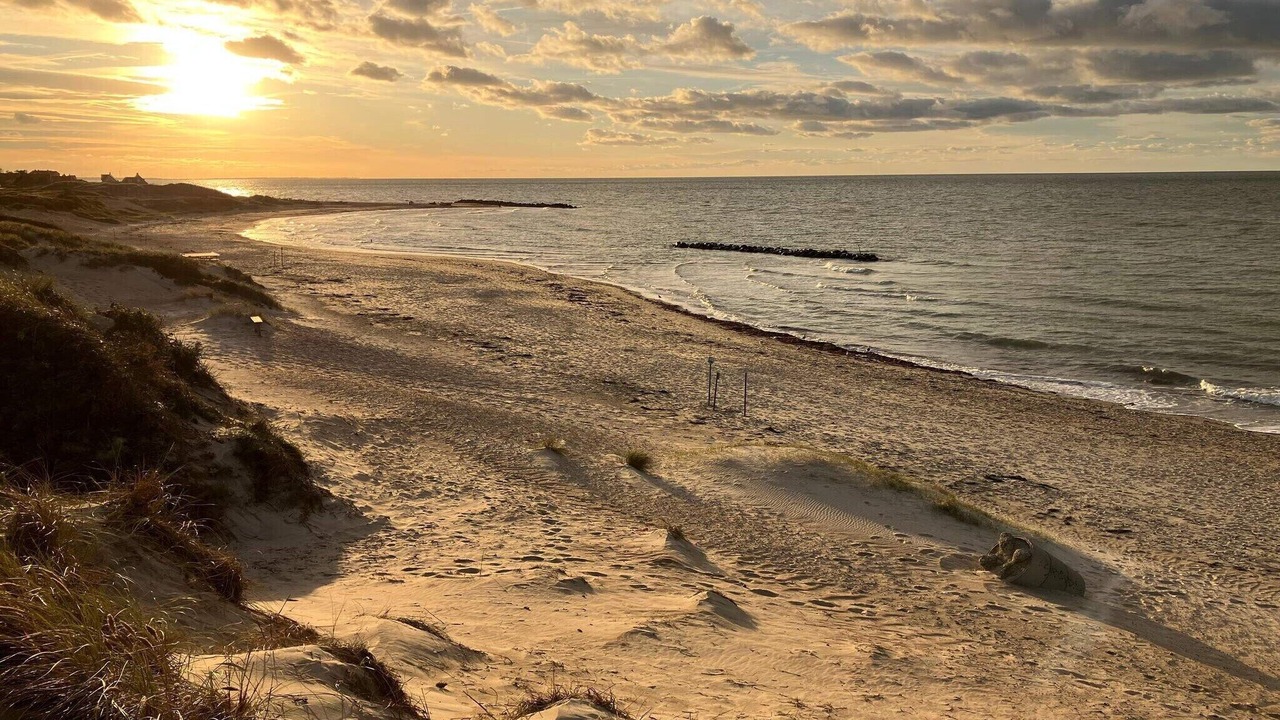 Photo of Others in Hundested