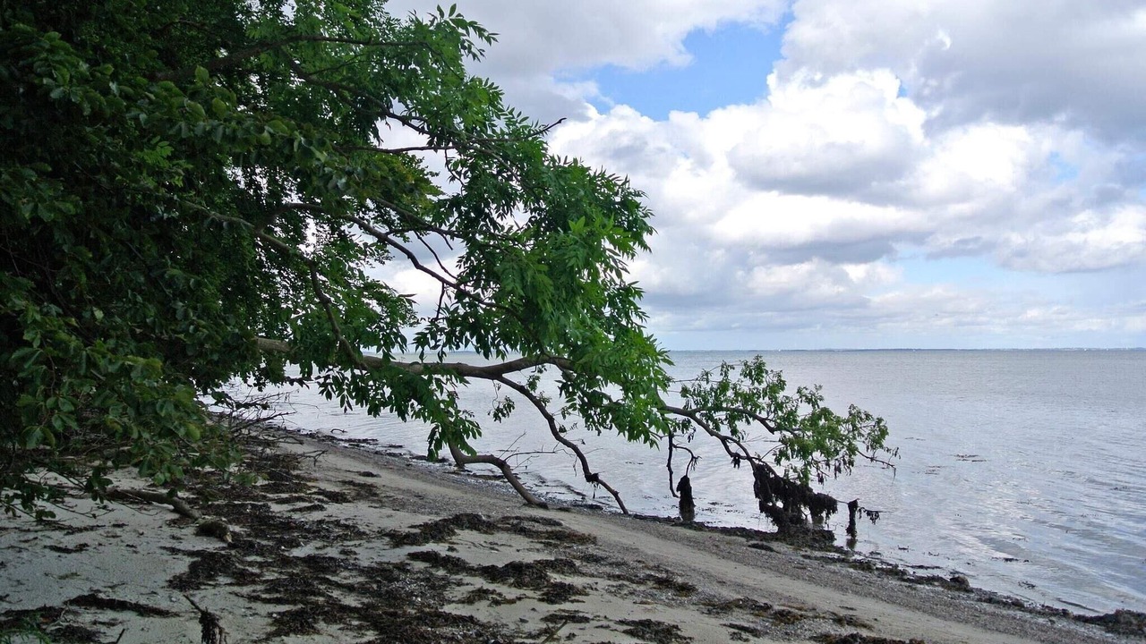 Photo of Others in Hejlsminde Strand