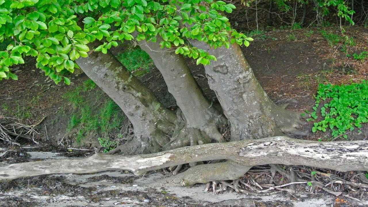 Photo of Outdoor in Hejlsminde Strand