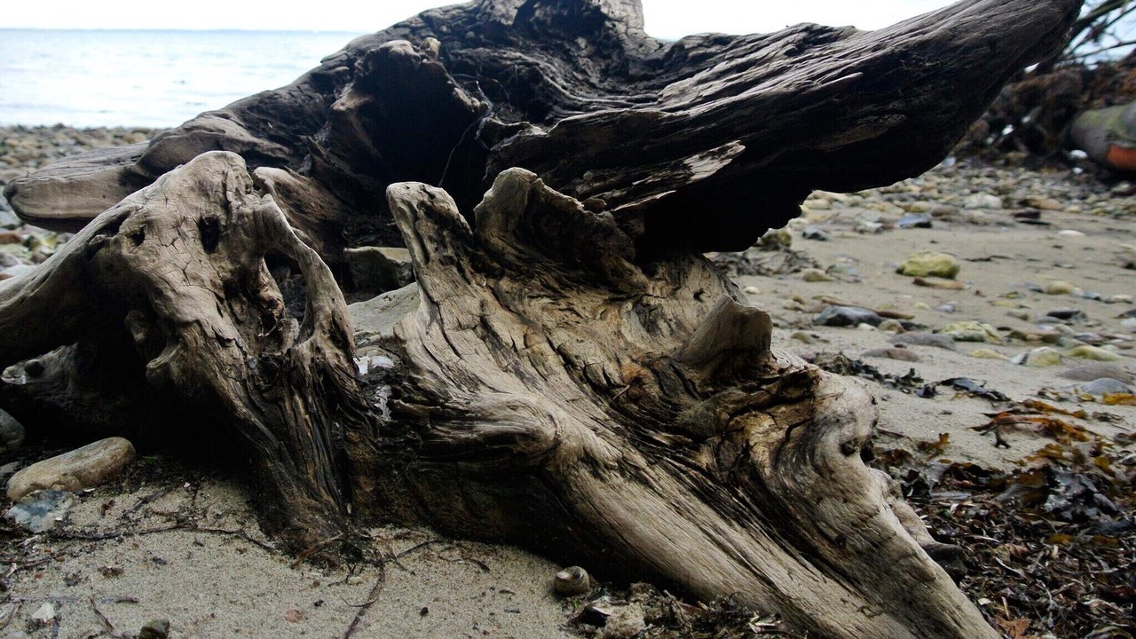 Photo of Others in Hejlsminde Strand