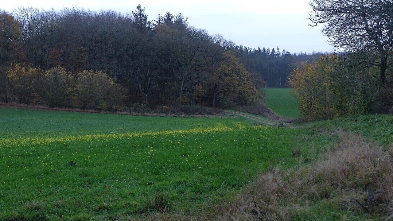 Photo of Others in Ebdrup