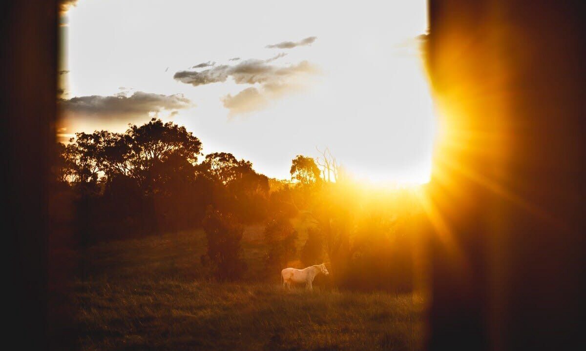 Photo of Others in Heathcote